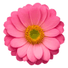 Bernard Chapman Florist