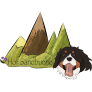 Berner Sennenhunde vom Hof Sandbühel