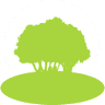 Mayor - Secretariat