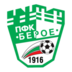 Beroe Stadium