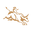 Berrigan Wines