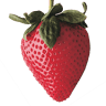 Berrymex S. de R.L. de C.V.