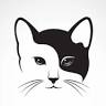 Berrylands Cattery & Pet Supplies