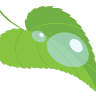 Bērzi Plus