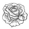 Blumen B+S
