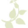 Bestattung Grünzweig