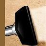 Best Carpet Care & Sanitizing/Disinfection Service