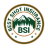 Best Shot Insurance