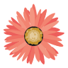 Best West Flowers
