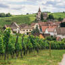 DePrez Wines and Spirits