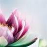 Beyond Balance ~ Mind, Body, Spirit, Wellness