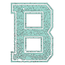 BFIT013