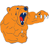 Burnside Heights Football Club Bears