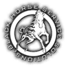 Black Horse Pike Plumbing & Heating
