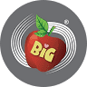 Big Apple Travel Center
