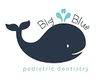 Big Blue Pediatric Dentistry - Aimee Snell DDS MS
