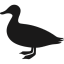 Rumah Bebek(Gubug Bigduck Distro)