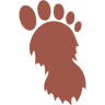 Bigfoot Studios