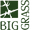 Big Grass