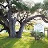Big Oaks Kennel & Dog Park Co.