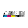 Bigprint Hannover Großbildtechnik GbR