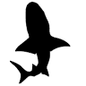 Fish Finder Adventures LLC