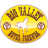 Big Valley Hotel Fazenda