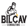 Bilcav Consulting