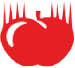 Private Istanbul College of Science
