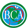 Bilingual Child Academy