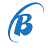 Bill's Professional Towing & Repair
