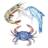 Biloxi Shrimping Trip