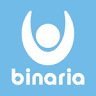 Binaria Ingeniería Digital