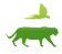 Biodiverse Brazil Tours
