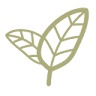 Bio Elemento Cosméticos Naturais