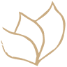 Bioesserì
