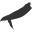 Biohof Tacke