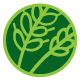 BIO MANIA SRL