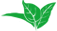 Bioplus Life Sciences Pvt. Ltd