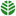 BIO TREE - producing Paulownia