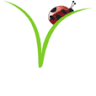 Biovital