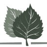 Birchwood Therapeutic Services