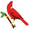Wild About Birds