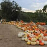 Bird Haus Farms