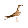 Silo Birding La Mancha