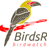 Birds Rio - Observação de Aves