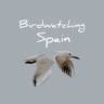 Birdwatching Spain