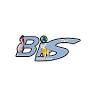 BiS Glass sp