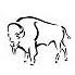 Bison Services