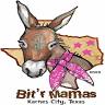 Bit'r Mamas